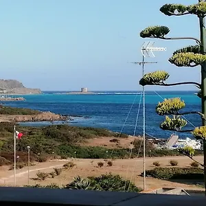 La Finestra Sulla Torre , Stintino Italia
